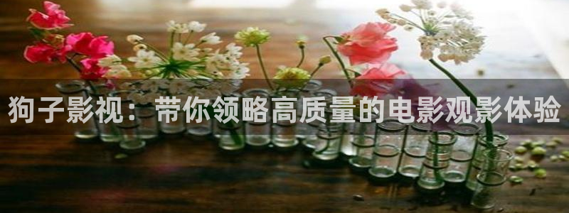 大茄子视频