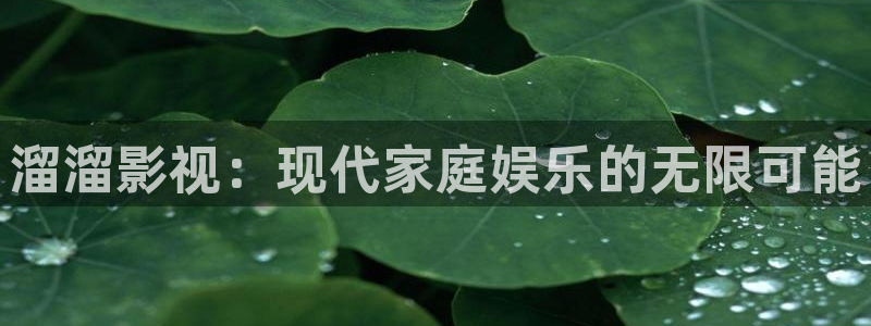 小优视频茄子视频