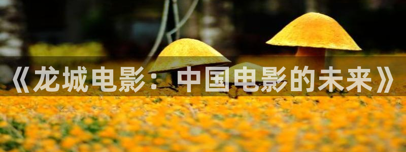 茄子视频视频