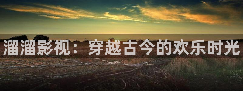 茄子视频了