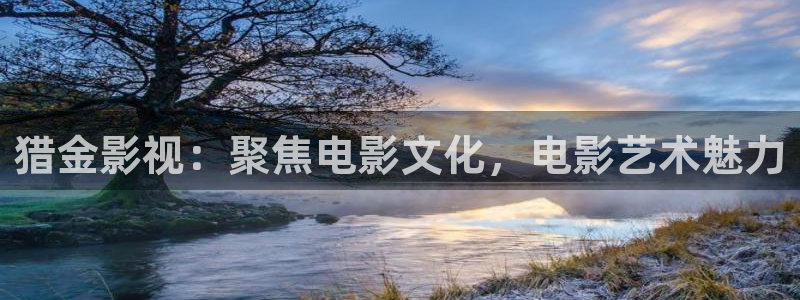 丝瓜茄子视频在线观看