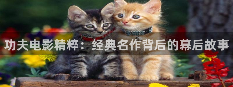 茄子视频色版