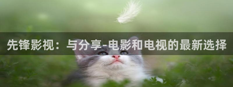 四虎茄子视频
