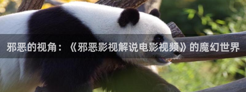 茄子视频a