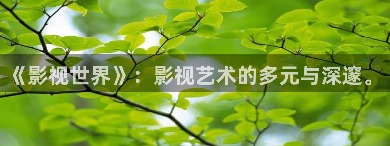 丝瓜茄子视频在线观看