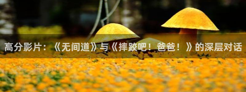丝瓜茄子视频在线观看