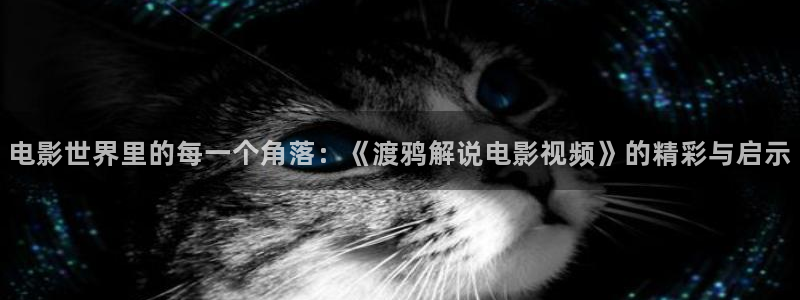 茄子视频a
