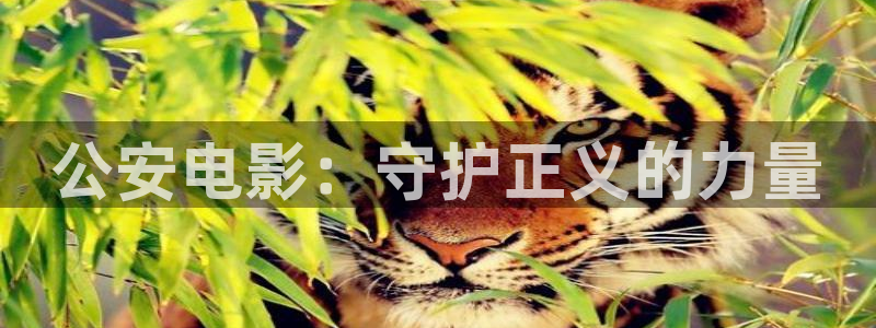茄子视频www