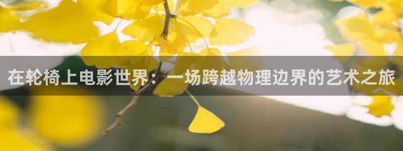 茄子视频视频