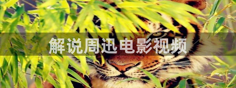 茄子视频a