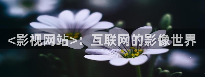 茄子视频a