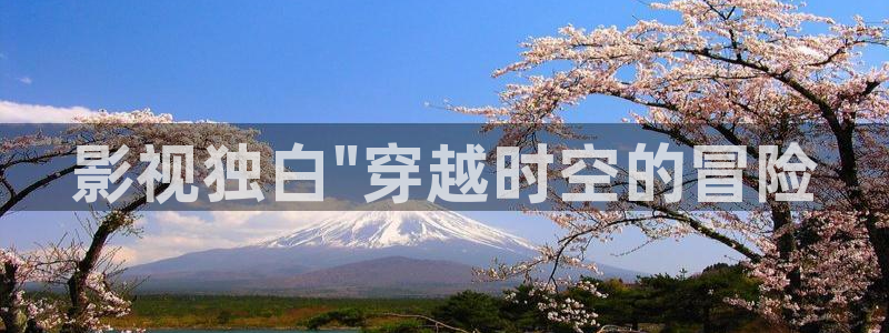 茄子视频视频