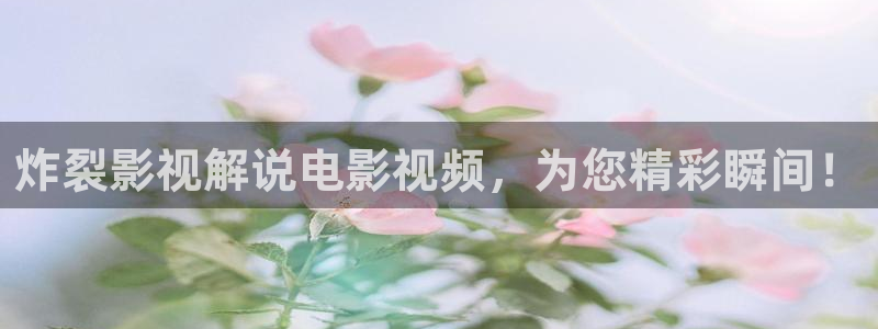 四虎茄子视频：炸裂影视解说电影视频，为您精彩瞬间！