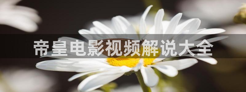 91茄子视频：帝皇电影视频解说大全