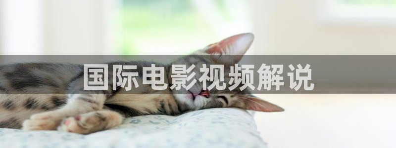 91茄子视频：国际电影视频解说