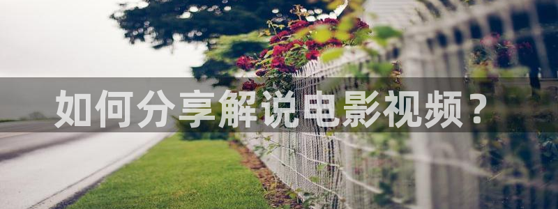 茄子视频qz：如何分享解说电影视频？