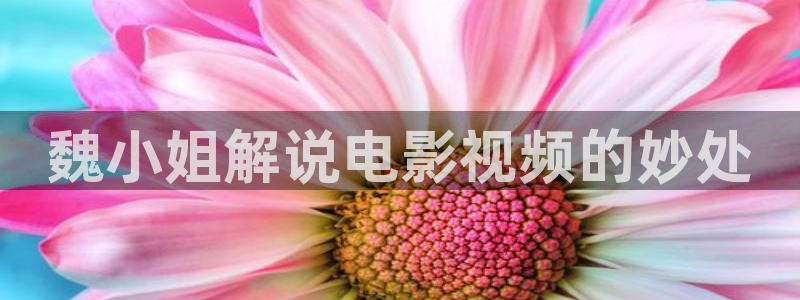 四虎茄子视频：魏小姐解说电影视频的妙处