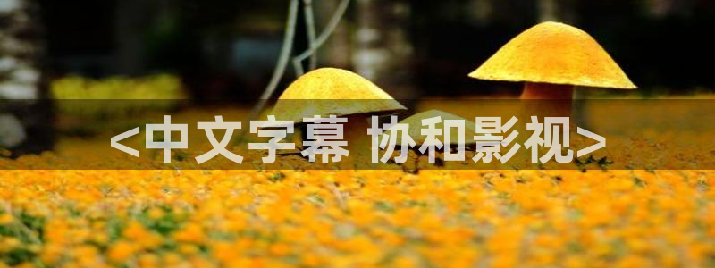 qiezi茄子视频：<中文字幕 协和影视>