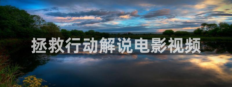 樱桃茄子视频：拯救行动解说电影视频