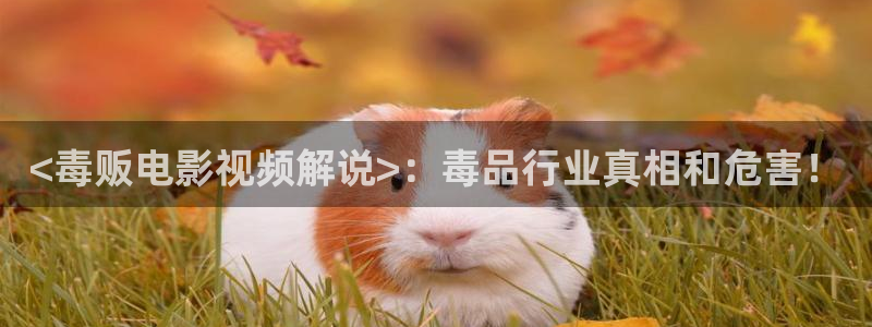 茄子视频 magnet：<毒贩电影视频解说>：毒品行业真相和危害！