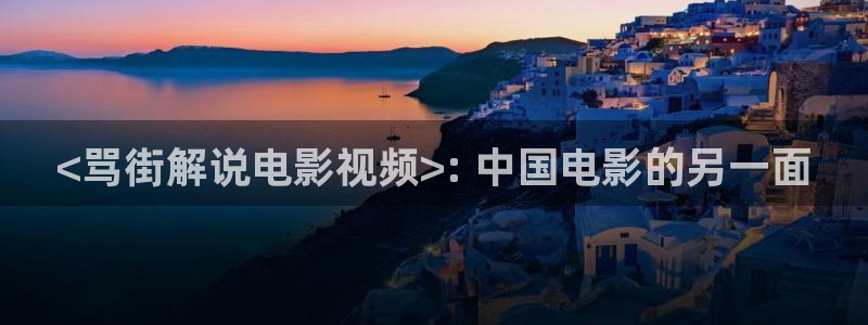 茄子视频一：<骂街解说电影视频>: 中国电影的另一面