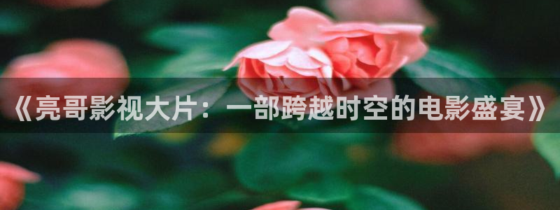 茄子视频一：《亮哥影视大片：一部跨越时空的电影盛宴》