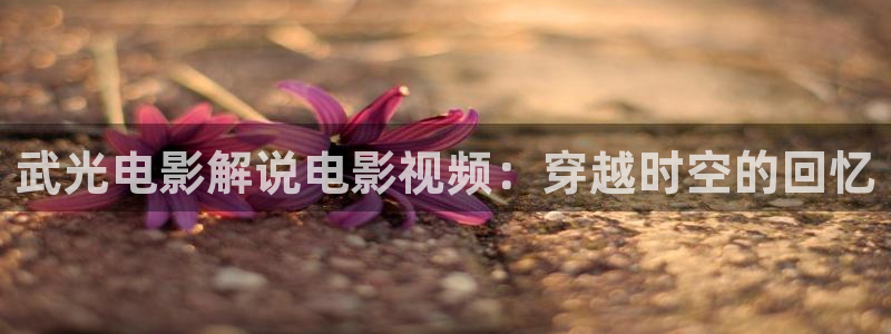 茄子视频一：武光电影解说电影视频：穿越时空的回忆