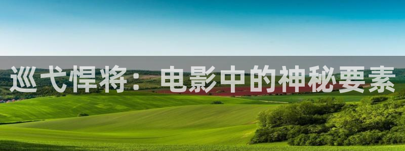 茄子视频?：巡弋悍将：电影中的神秘要素
