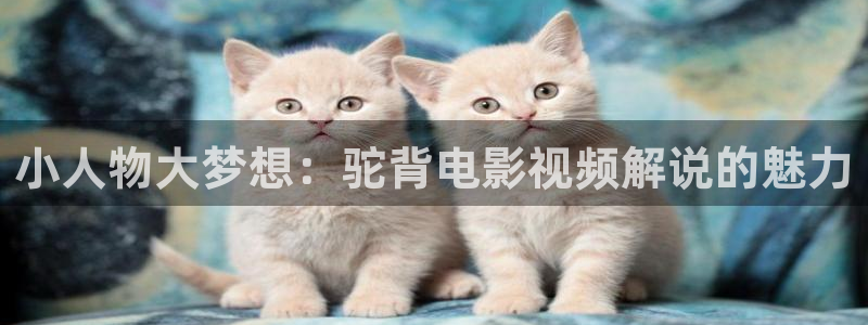 茄子视频了：小人物大梦想：驼背电影视频解说的魅力
