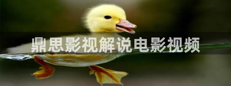 茄子视频www