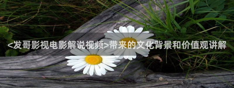 qiezi茄子视频
