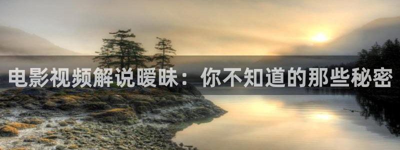 茄子视频视频