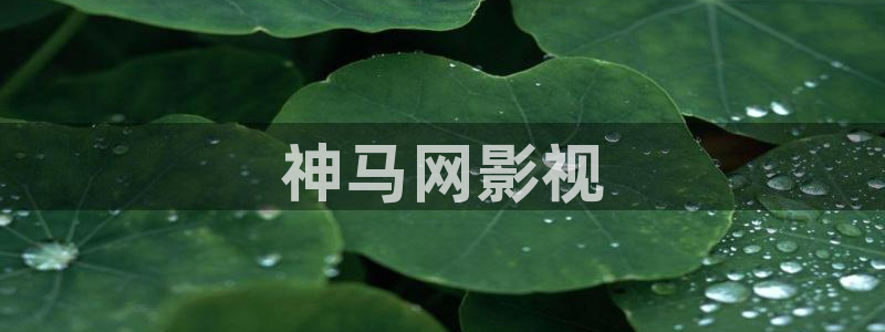 茄子视频色版
