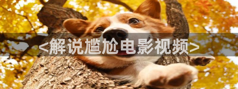 大茄子视频