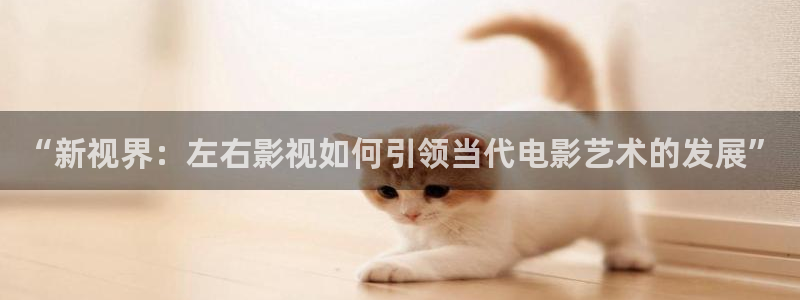 茄子视频了