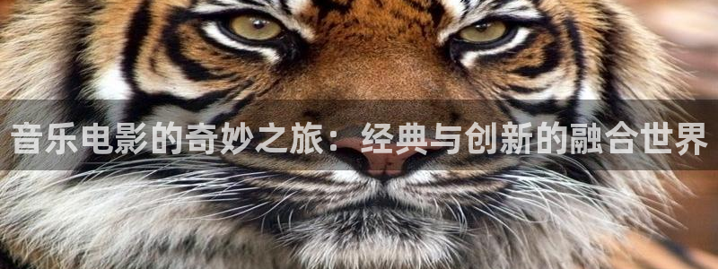 茄子视频无限看丝瓜视频丝瓜视免费观看