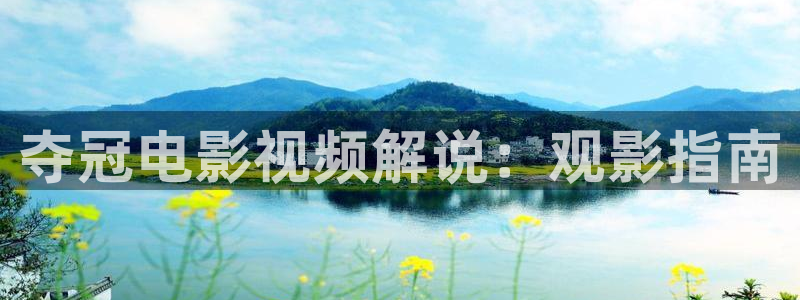 茄子视频a
