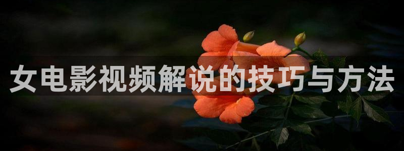 茄子视频无限看丝瓜视频丝瓜视免费观看