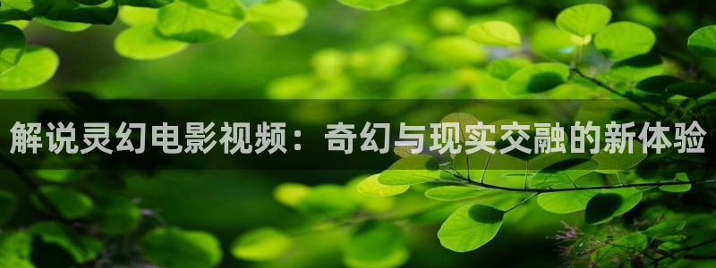 四虎茄子视频：解说灵幻电影视频：奇幻与现实交融的新体验