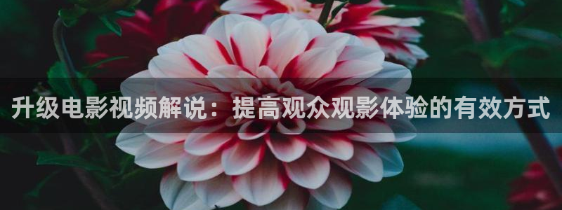 丝瓜茄子视频在线观看：升级电影视频解说：提高观众观影体验的有效方式