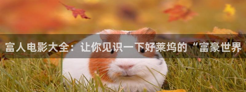 大茄子视频