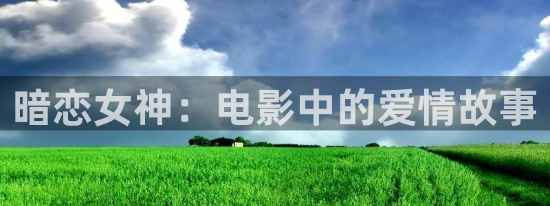 茄子视频视频