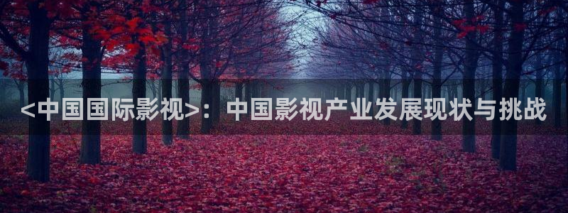 91茄子视频：<中国国际影视>：中国影视产业发展现状与挑战