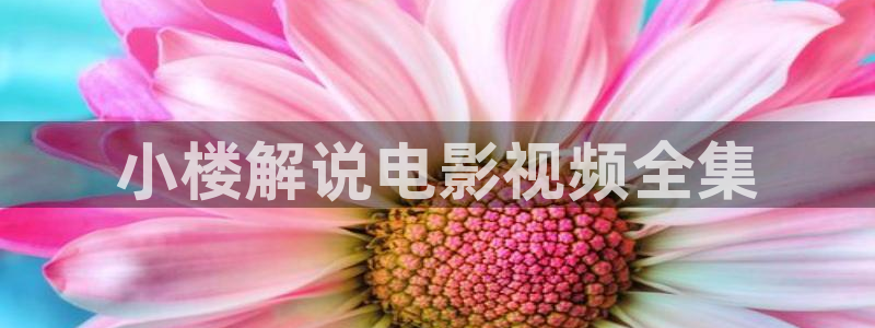 大茄子视频