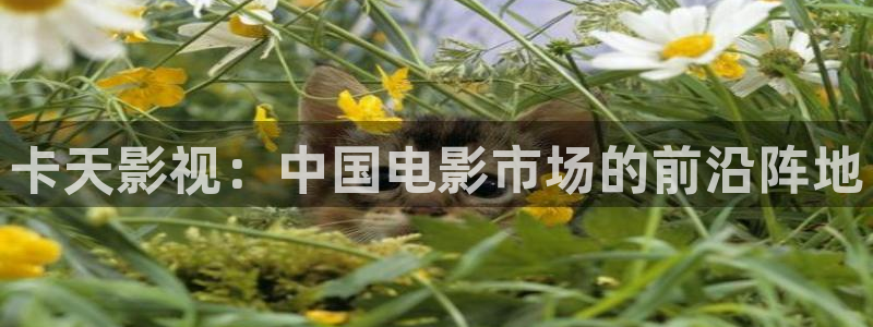 91茄子视频