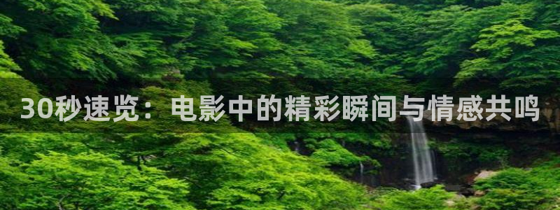 茄子视频视频：30秒速览：电影中的精彩瞬间与情感共鸣