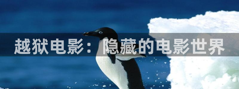 qiezi茄子视频