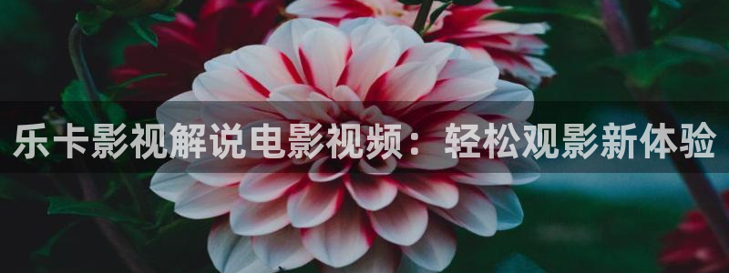 茄子视频?：乐卡影视解说电影视频：轻松观影新体验
