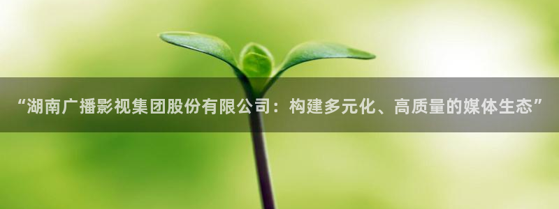 茄子视频了：“湖南广播影视集团股份有限公司：构建多元化、高质量的媒体生态”