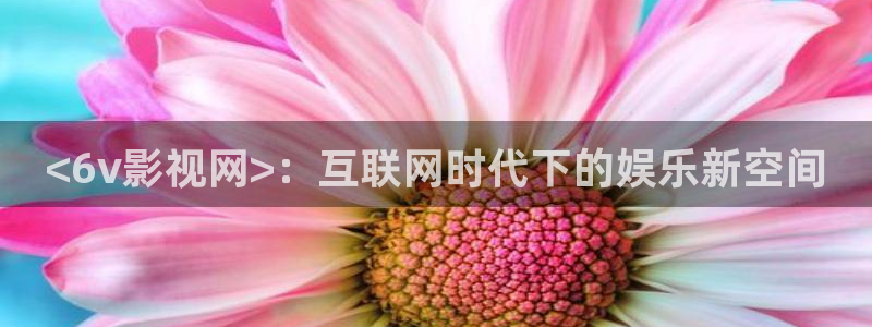 茄子视频?：<6v影视网>：互联网时代下的娱乐新空间